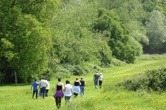 ecotherapy-peopel-walking-in-field