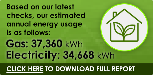 gogomadu energy-report 2025